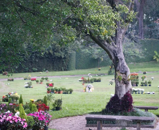 50b00e_00e716baac454672b185d42a2d9ca957~mv2