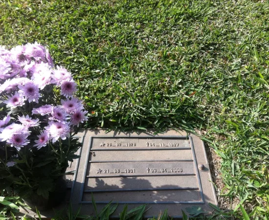 50b00e_923431c3ccbc4b28a4b5a558c05f8fda~mv2