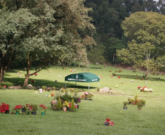 50b00e_92fad52bbf264b8d9b54ca6c29667764~mv2_d_4592_3056_s_4_2