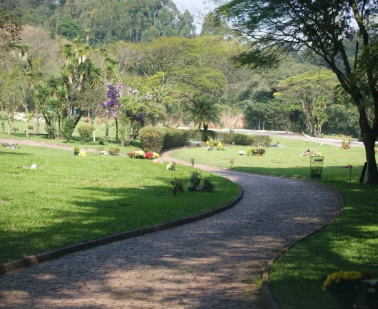 50b00e_a61dc93f232043e29e5f6bf0e3f69dc1~mv2_d_4592_3056_s_4_2