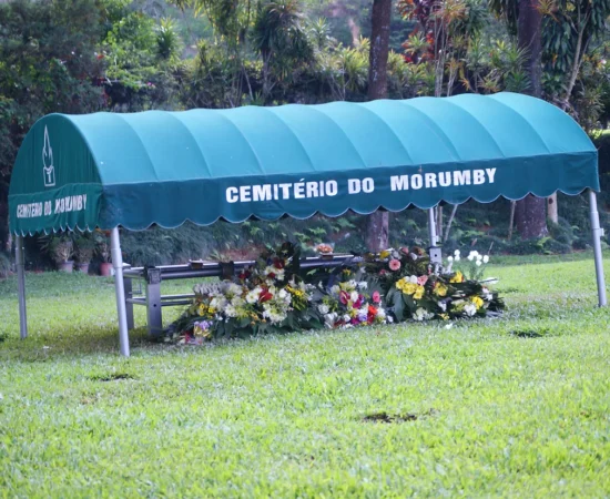 50b00e_ba98a94195c14bd78539bc93de739209~mv2_d_4592_3056_s_4_2