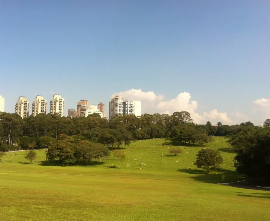 50b00e_c955f6f57403404e93e15205f5c40c9c~mv2_d_2592_1936_s_2