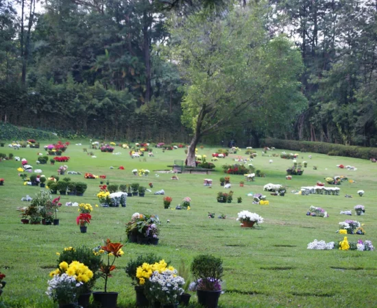 50b00e_fb5e97c8cac54089aedc2549ef806cbc~mv2_d_4592_3056_s_4_2